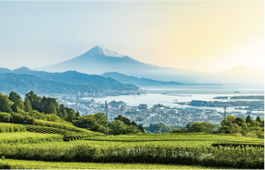 Wフォトイメージ7